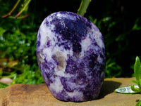Polished Lepidolite Standing Free Forms x 3 From Zimbabwe