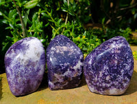 Polished Lepidolite Standing Free Forms x 3 From Zimbabwe