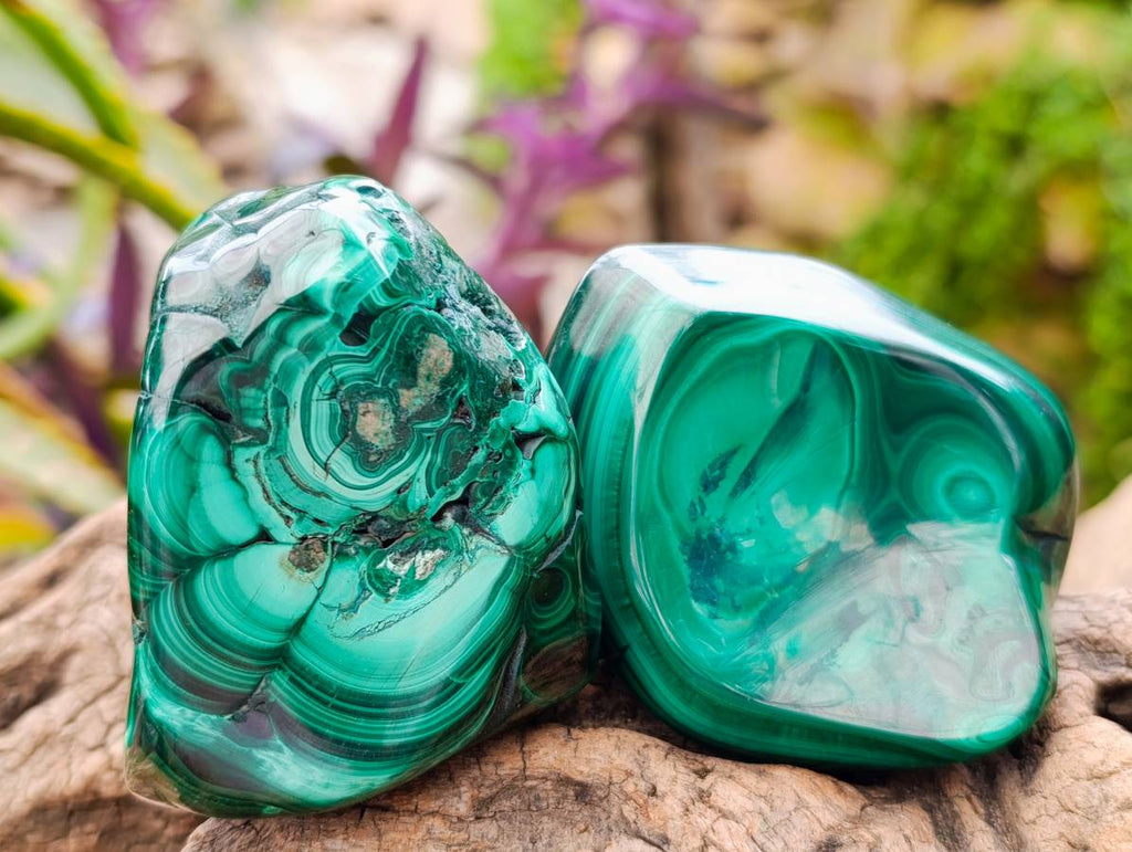 Polished Flower Banded Malachite Free Forms x 6 From Congo - Toprock Gemstones and Minerals 