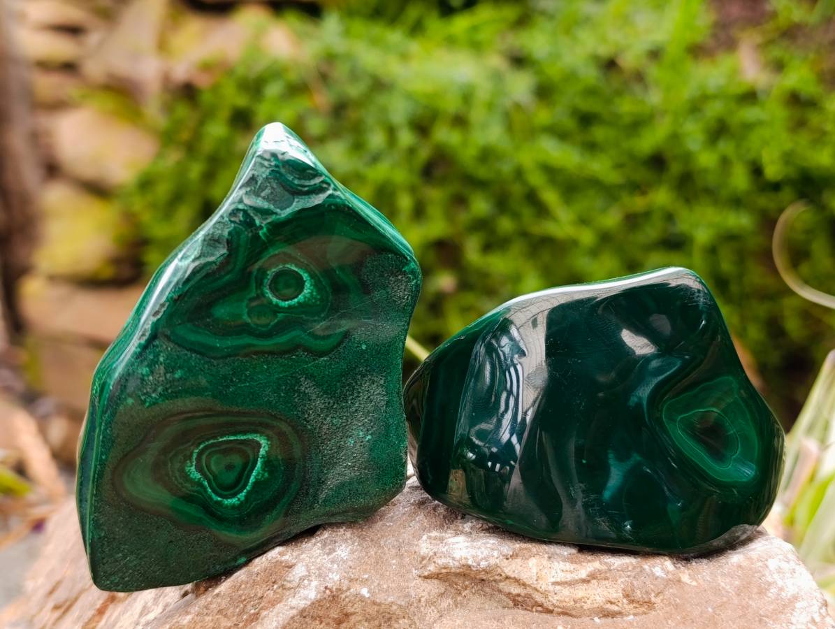 Polished Flower Banded Malachite Free Forms x 6 From Congo - Toprock Gemstones and Minerals 