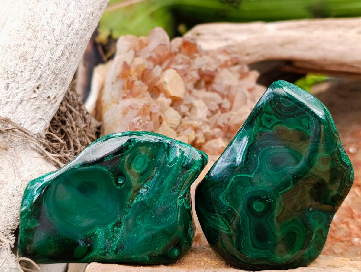 Polished Flower Banded Malachite Free Forms x 6 From Congo - Toprock Gemstones and Minerals 