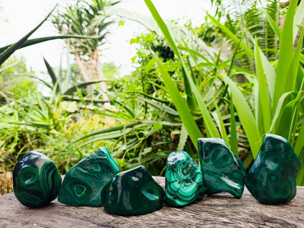 Polished Flower Banded Malachite Free Forms x 6 From Congo - Toprock Gemstones and Minerals 