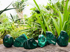 Polished Flower Banded Malachite Free Forms x 6 From Congo - Toprock Gemstones and Minerals 