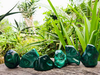 Polished Flower Banded Malachite Free Forms x 6 From Congo