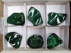 Polished Flower Banded Malachite Free Forms x 6 From Congo - Toprock Gemstones and Minerals 