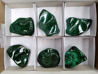 Polished Flower Banded Malachite Free Forms x 6 From Congo