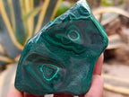 Polished Flower Banded Malachite Free Forms x 6 From Congo - Toprock Gemstones and Minerals 