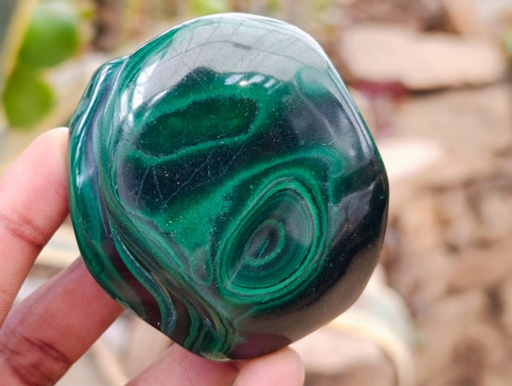 Polished Flower Banded Malachite Free Forms x 6 From Congo - Toprock Gemstones and Minerals 