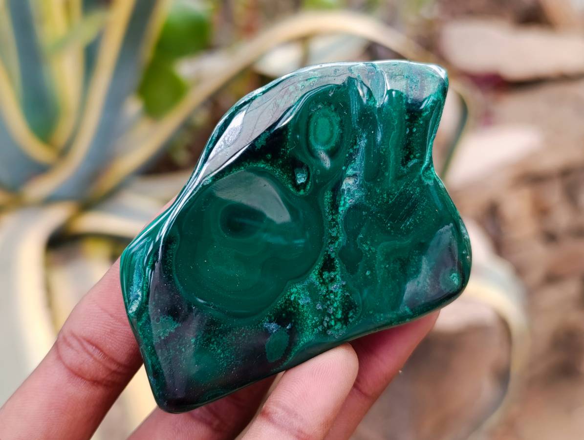 Polished Flower Banded Malachite Free Forms x 6 From Congo - Toprock Gemstones and Minerals 