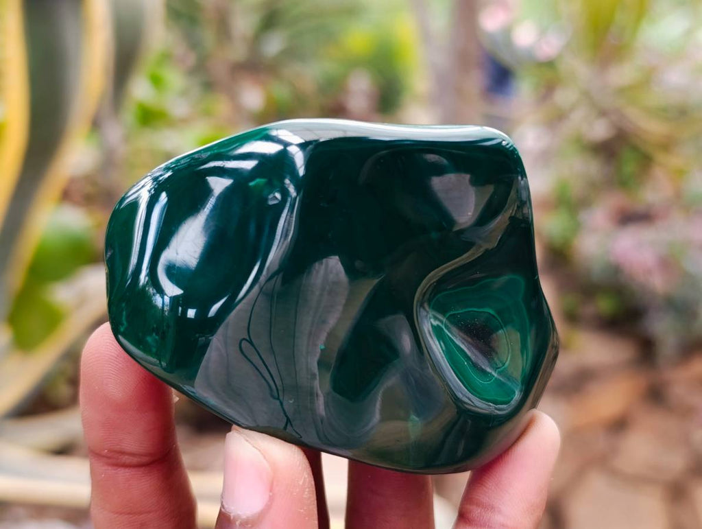 Polished Flower Banded Malachite Free Forms x 6 From Congo - Toprock Gemstones and Minerals 