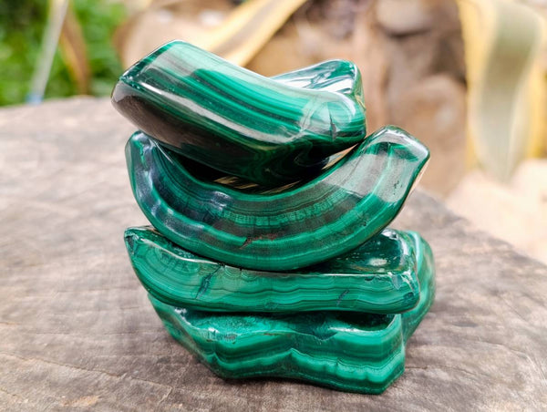 Polished Flower Banded Malachite Free Forms x 6 From Congo