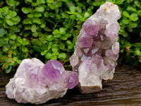 Natural Jacaranda Amethyst Quartz Clusters x 2 From Mumbwa, Zambia