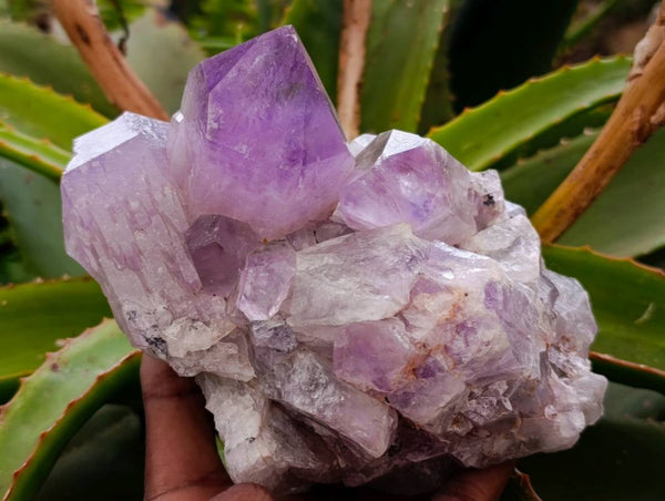 Natural Jacaranda Amethyst Quartz Clusters x 2 From Mumbwa, Zambia