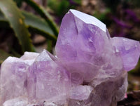 Natural Jacaranda Amethyst Quartz Clusters x 2 From Mumbwa, Zambia