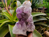 Natural Jacaranda Amethyst Quartz Clusters x 2 From Mumbwa, Zambia