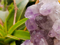 Natural Jacaranda Amethyst Quartz Clusters x 2 From Mumbwa, Zambia