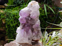 Natural Jacaranda Amethyst Quartz Clusters x 2 From Mumbwa, Zambia
