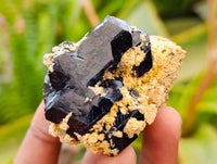 Natural Schorl Black Tourmaline with Smokey Quartz x 6 From Erongo, Namibia