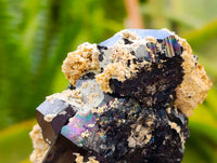 Natural Schorl Black Tourmaline with Smokey Quartz x 6 From Erongo, Namibia