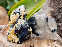 Natural Schorl Black Tourmaline with Smokey Quartz x 6 From Erongo, Namibia