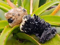 Natural Schorl Black Tourmaline with Smokey Quartz x 6 From Erongo, Namibia