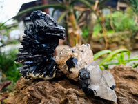 Natural Schorl Black Tourmaline with Smokey Quartz x 6 From Erongo, Namibia