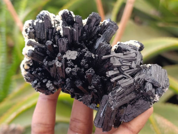 Natural Schorl Black Tourmaline with Smokey Quartz x 6 From Erongo, Namibia