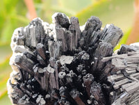 Natural Schorl Black Tourmaline with Smokey Quartz x 6 From Erongo, Namibia