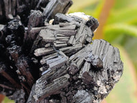 Natural Schorl Black Tourmaline with Smokey Quartz x 6 From Erongo, Namibia