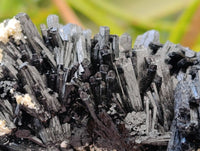 Natural Schorl Black Tourmaline with Smokey Quartz x 6 From Erongo, Namibia