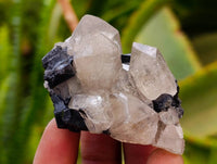 Natural Schorl Black Tourmaline with Smokey Quartz x 6 From Erongo, Namibia