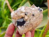 Natural Schorl Black Tourmaline with Smokey Quartz x 6 From Erongo, Namibia