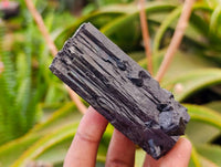 Natural Schorl Black Tourmaline with Smokey Quartz x 6 From Erongo, Namibia