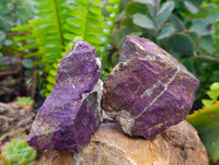 Natural Metallic Purpurite Specimens x 12 From Erongo, Namibia