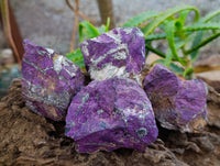 Natural Metallic Purpurite Specimens x 12 From Erongo, Namibia
