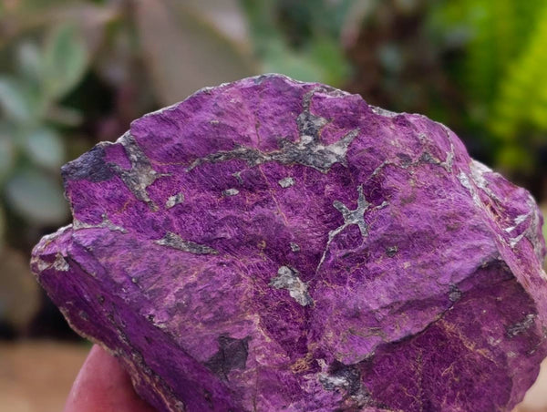 Natural Metallic Purpurite Specimens x 12 From Erongo, Namibia