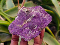 Natural Metallic Purpurite Specimens x 12 From Erongo, Namibia