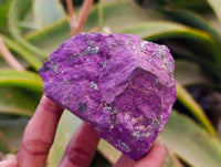 Natural Metallic Purpurite Specimens x 12 From Erongo, Namibia
