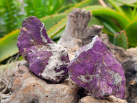 Natural Metallic Purpurite Specimens x 12 From Erongo, Namibia