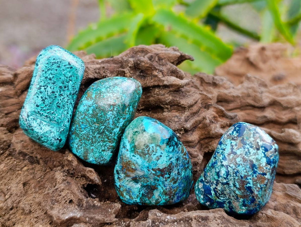 Polished Shattuckite Free Forms x 35 From Congo - Toprock Gemstones and Minerals 