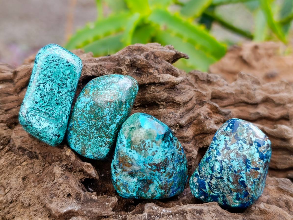 Polished Shattuckite Free Forms x 35 From Congo - Toprock Gemstones and Minerals 