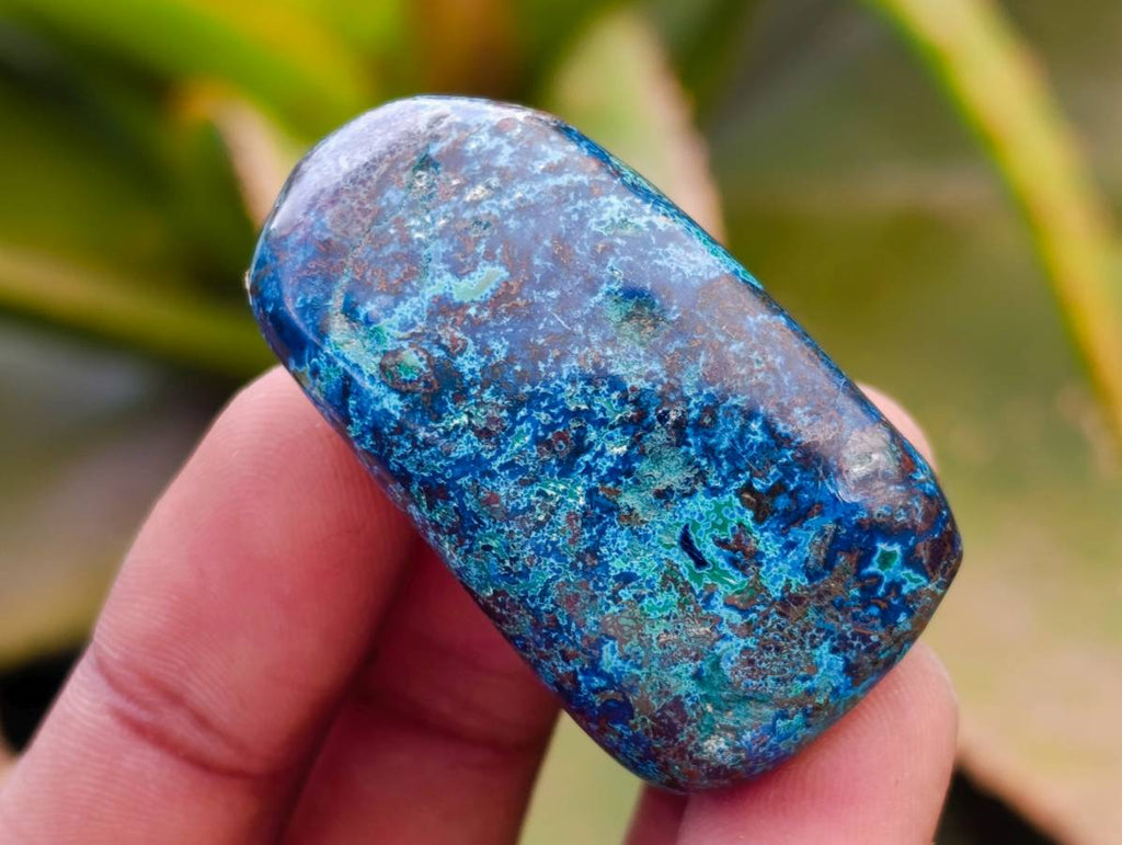 Polished Shattuckite Free Forms x 35 From Congo - Toprock Gemstones and Minerals 