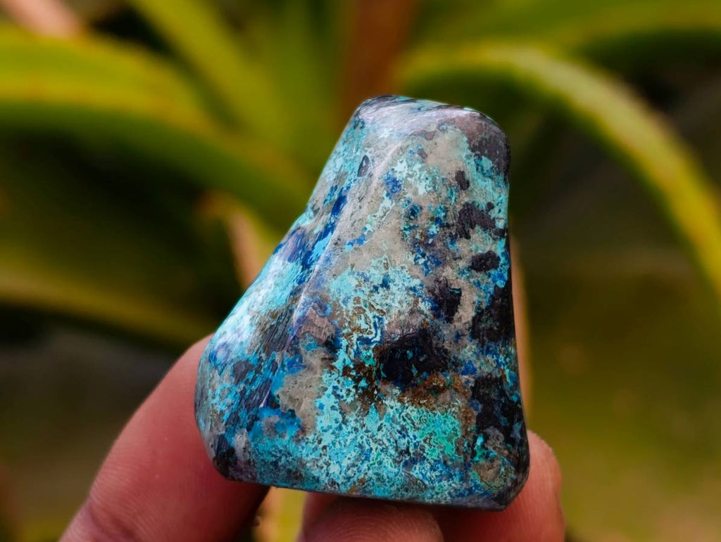 Polished Shattuckite Free Forms x 35 From Congo - Toprock Gemstones and Minerals 