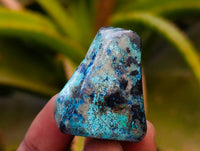 Polished Shattuckite Free Forms x 35 From Congo