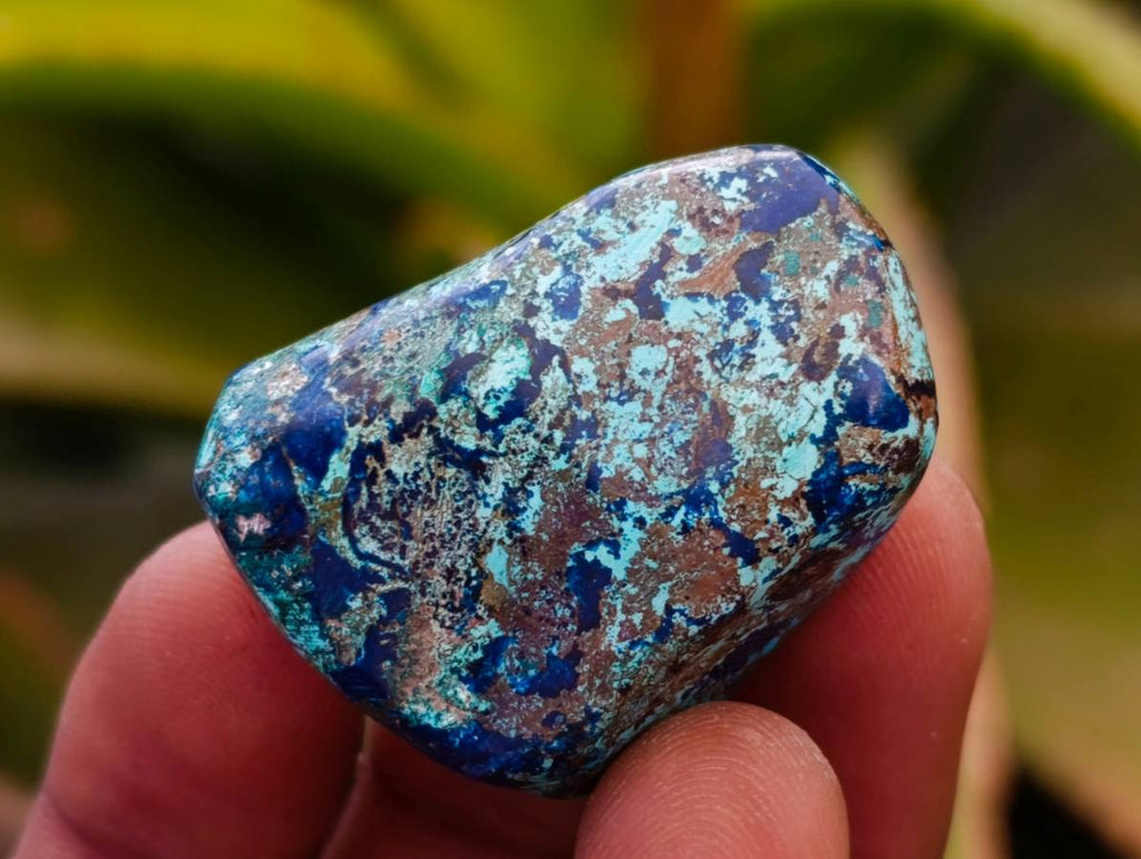 Polished Shattuckite Free Forms x 35 From Congo - Toprock Gemstones and Minerals 
