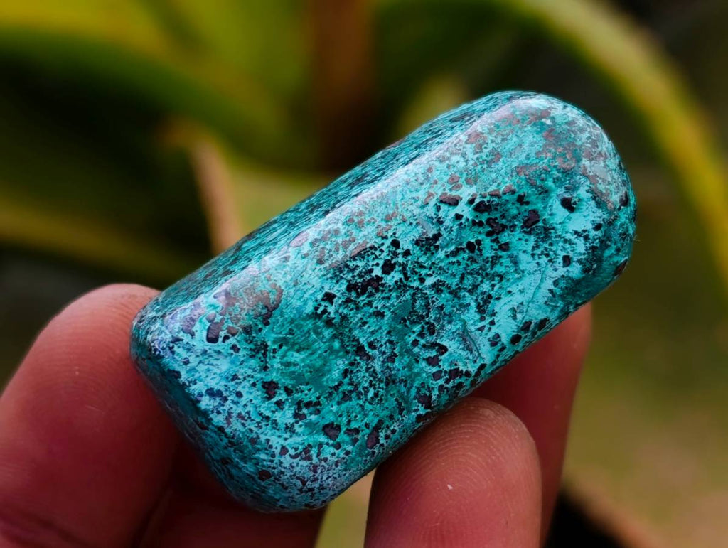 Polished Shattuckite Free Forms x 35 From Congo - Toprock Gemstones and Minerals 