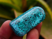 Polished Shattuckite Free Forms x 35 From Congo