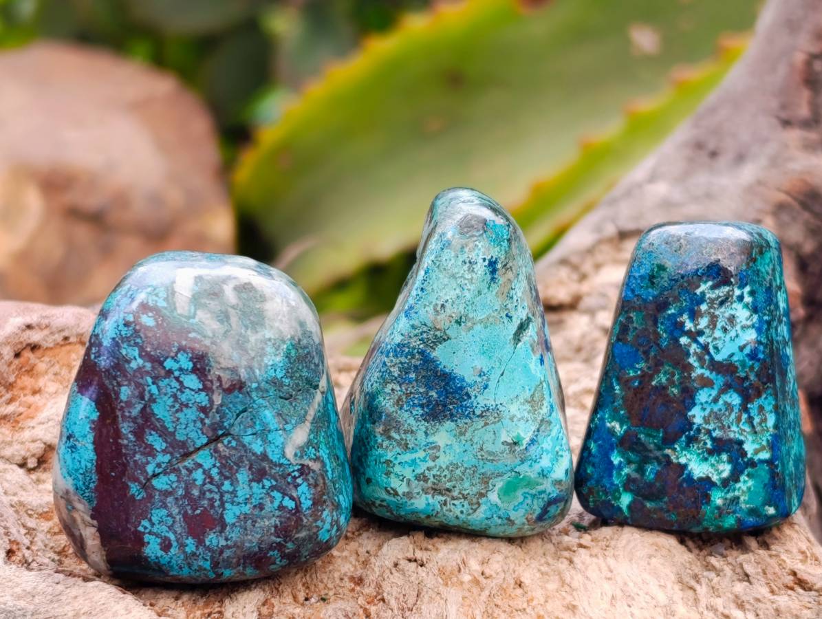Polished Shattuckite Free Forms x 35 From Congo - Toprock Gemstones and Minerals 