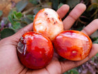 Polished Carnelian Agate Gemstone Galets x 20 From Madagascar - Toprock Gemstones and Minerals 