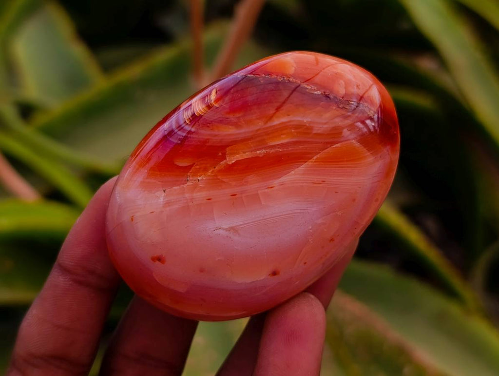 Polished Carnelian Agate Gemstone Galets x 20 From Madagascar - Toprock Gemstones and Minerals 